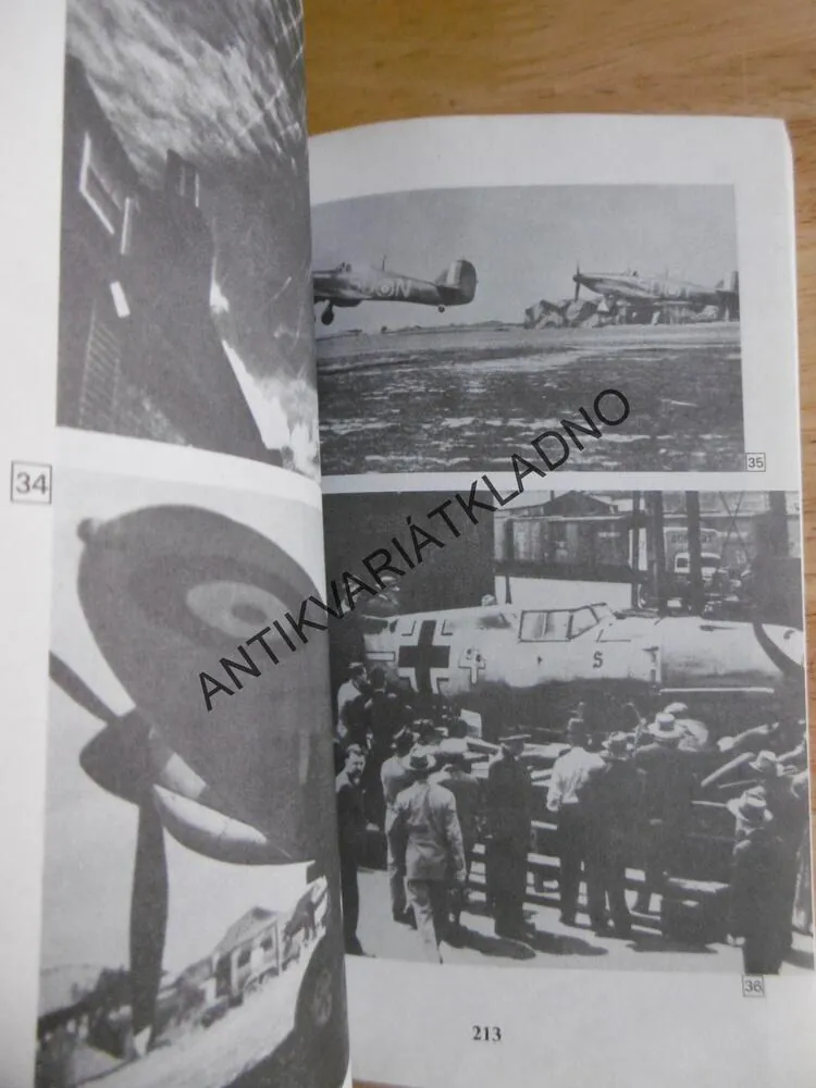 STÍHAČ, LEN DEIGHTON, BITVA O BRITÁNII- JAK TO BYLO, **an
