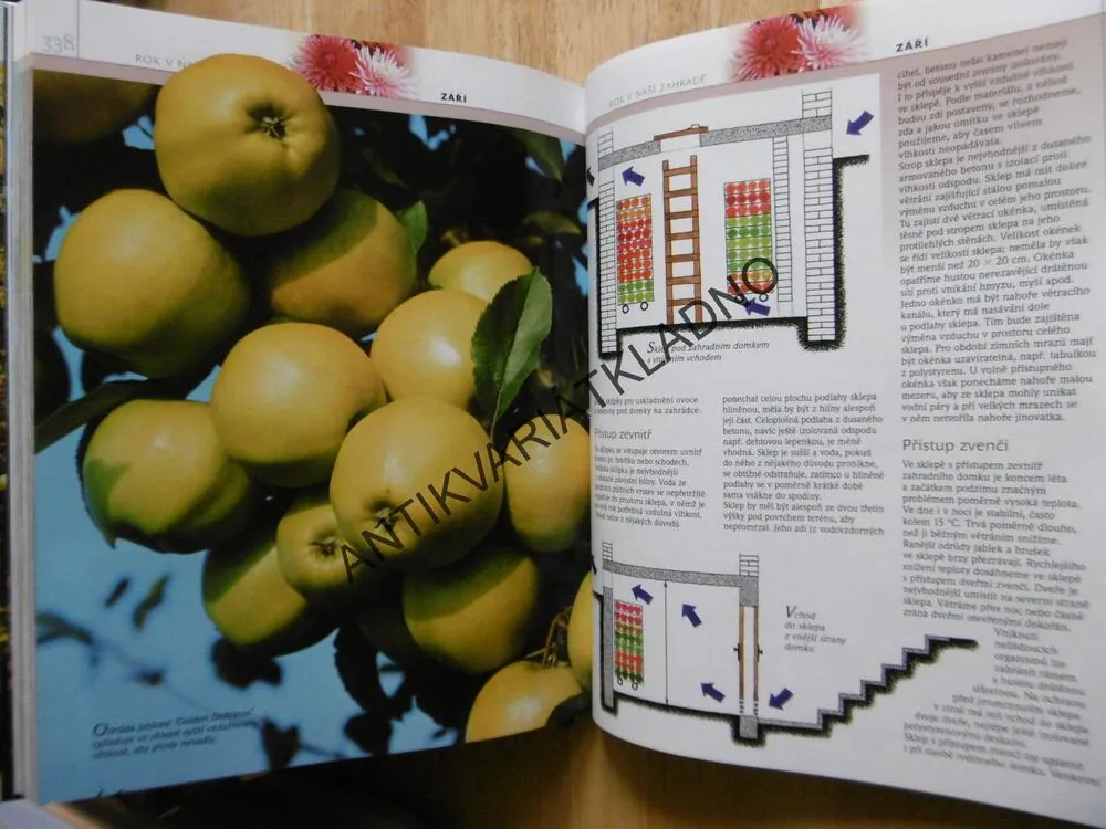 ROK V NAŠÍ ZAHRADĚ, RADOSLAV ŠROT, **an