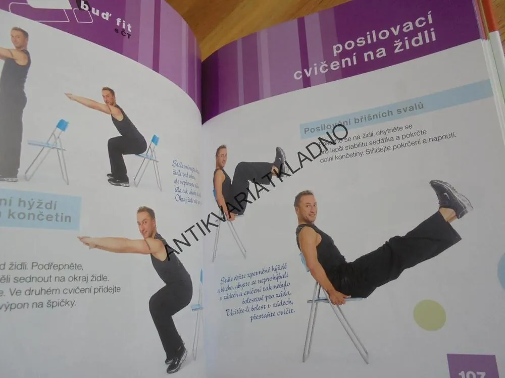 DOMÁCÍ POSILOVNA, BUĎ FIT S ČT, ŠÍPKOVÁ, HAVRDOVÁ, VALOUCH, KREJČÍK + DVD,SPORT