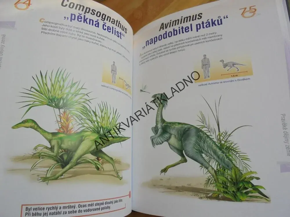 PRAVĚKÉ DĚJINY ZEMĚ, DĚTSKÁ ILUSTROVANÁ ENCYKLOPEDIE, DINOSAURUS, **an