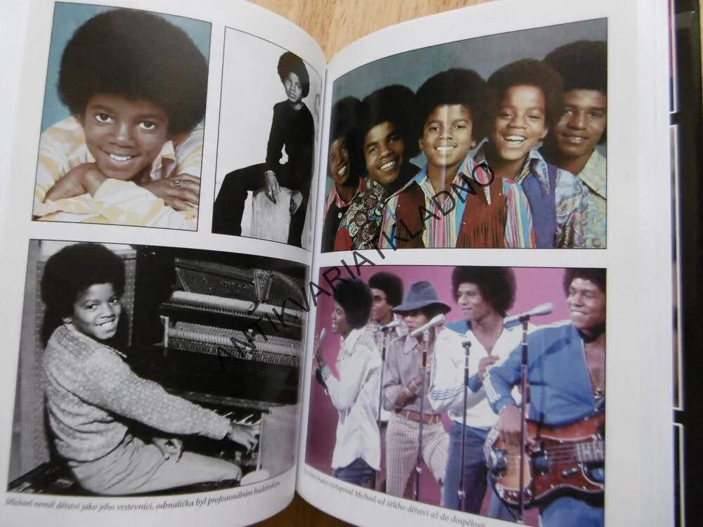 MICHAEL JACKSON, DAVID L´HERMITTE, KRÁL POPU 1958-2009, ZPĚVÁK, **an