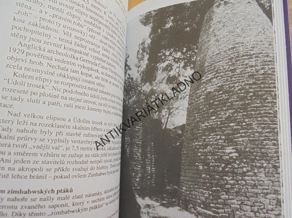 PROROK MINULOSTI, RISKANTNÍ MYŠLENKY, ERICH VON DÄNIKEN, **an