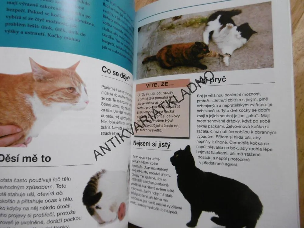 KOČKA A JEJÍ ŘEČ, VŠECHNO O TOM, JAK POROZUMĚT CHOVÁNÍ KOČKY, PAVLA KROUPOVÁ, GWEN BAILEY, **an