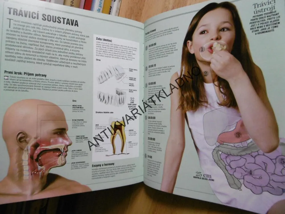 LIDSKÉ TĚLO, PRŮVODCE PRO CELOU RODINU, ANATOMIE, ILUSTROVANÝ ATLAS, **an