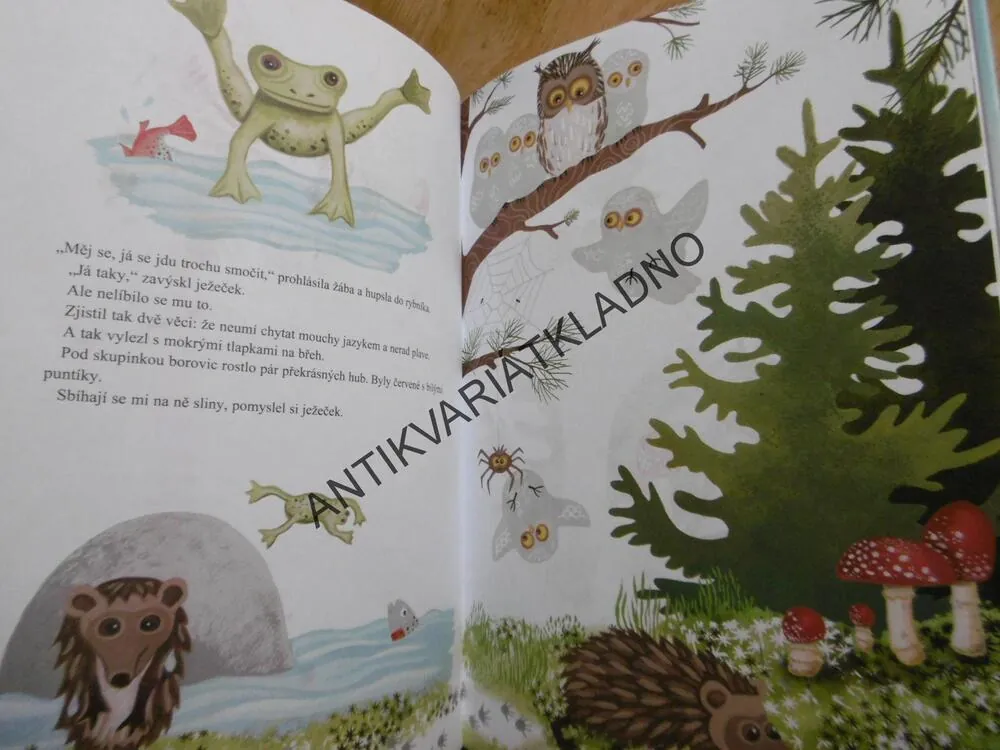 JEŽEČEK JDE DO SVĚTA, ULF STARK, STAHLBERG, **an