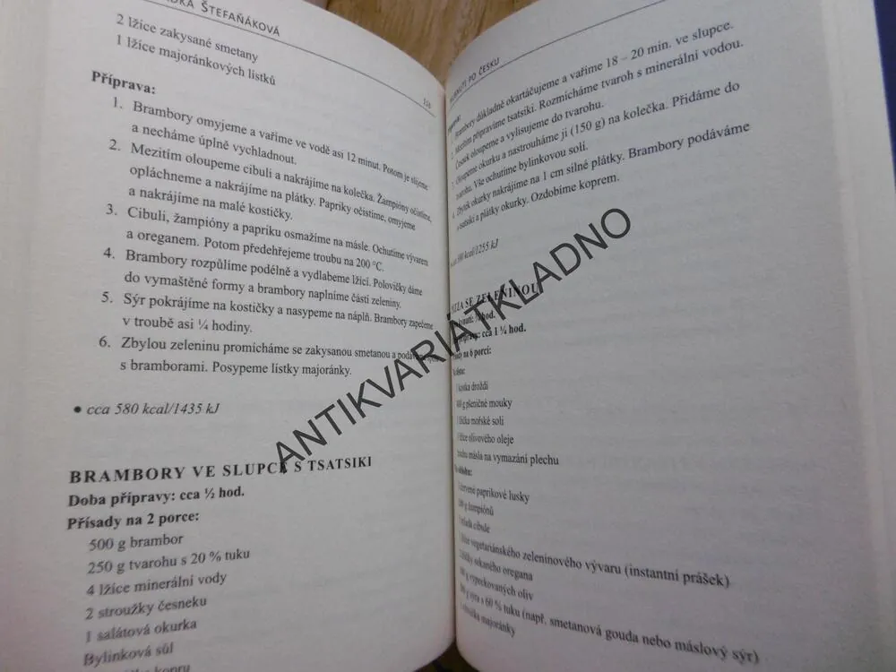 HUBNUTÍ PO ČESKU S ALKOHOLEM, MOUČNÍKEM A STRAVOVÁNÍM V RESTAURACI, RADKA STĚFAŇÁKOVÁ, **an