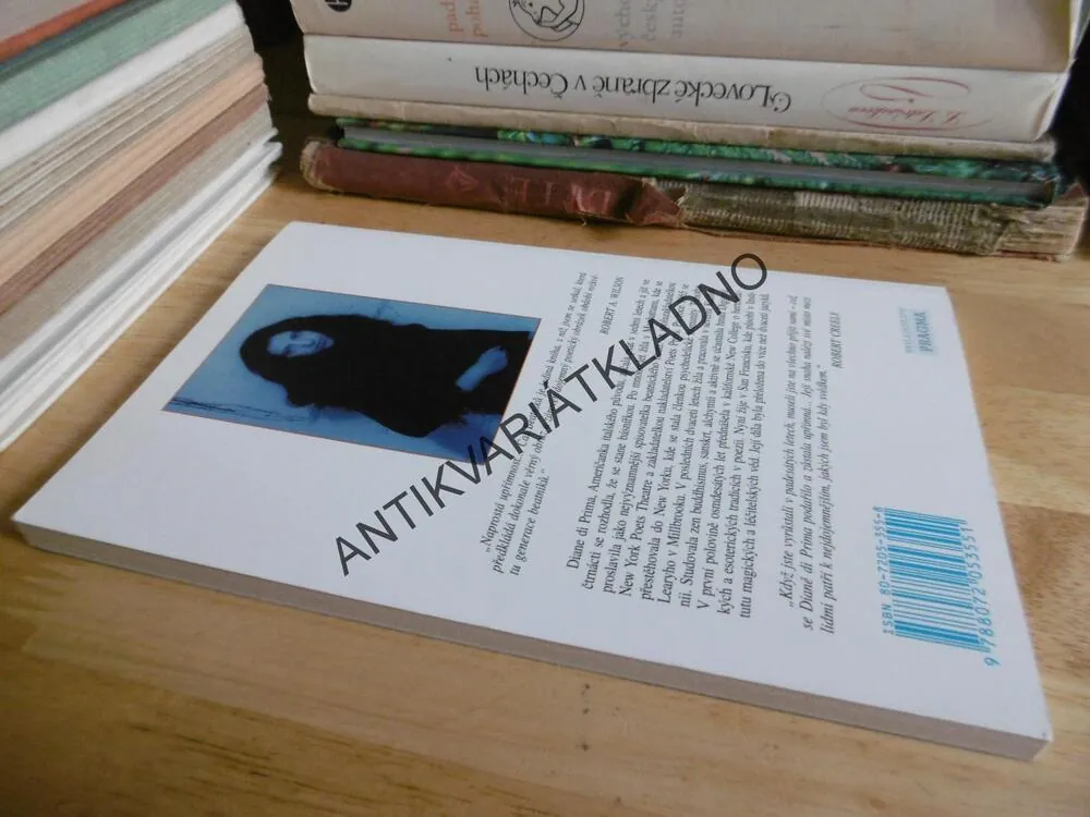 ČAS BEATNIKŮ, DIANE DI PRIMA