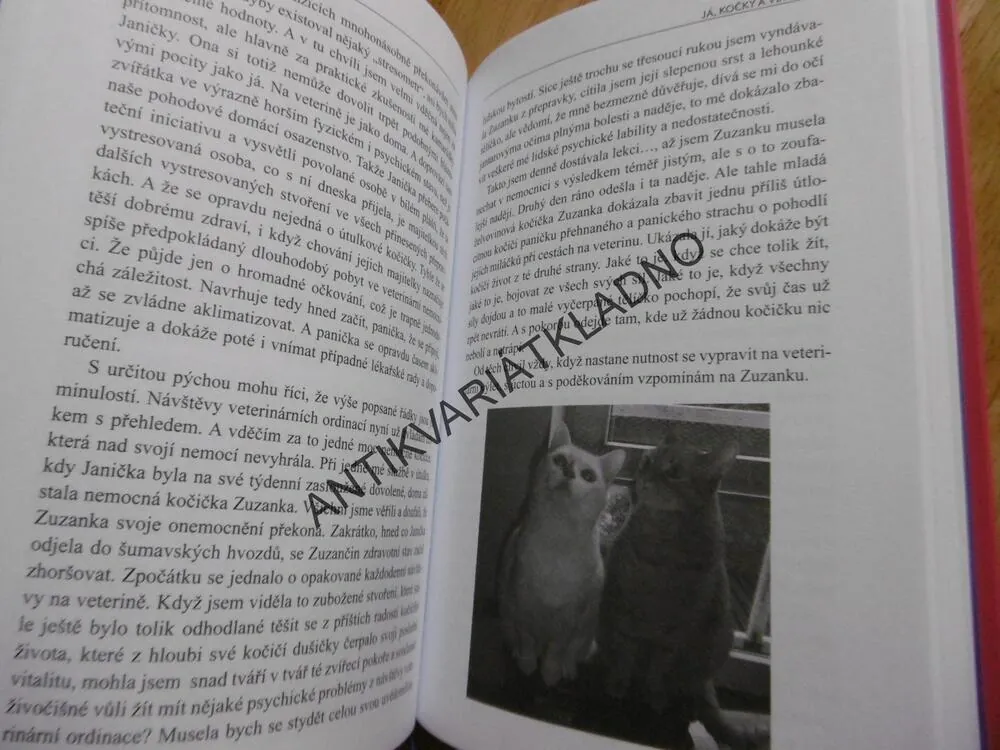KOČIČÍ POVÍDÁNÍ ANEB JAK NÁM KOČKY DOVOLILY S NIMI BYDLET, ROMANA JUNKOVÁ, **an
