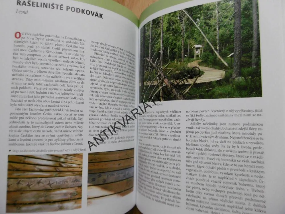 TOULAVÁ KAMERA 11., TOUŠLOVÁ, MARŠÁL, **an