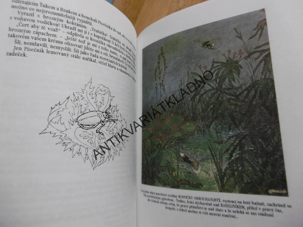 NA PASECE, JOS. HAIS TÝNECKÝ, O. ŠTÁFL, 1992, **an