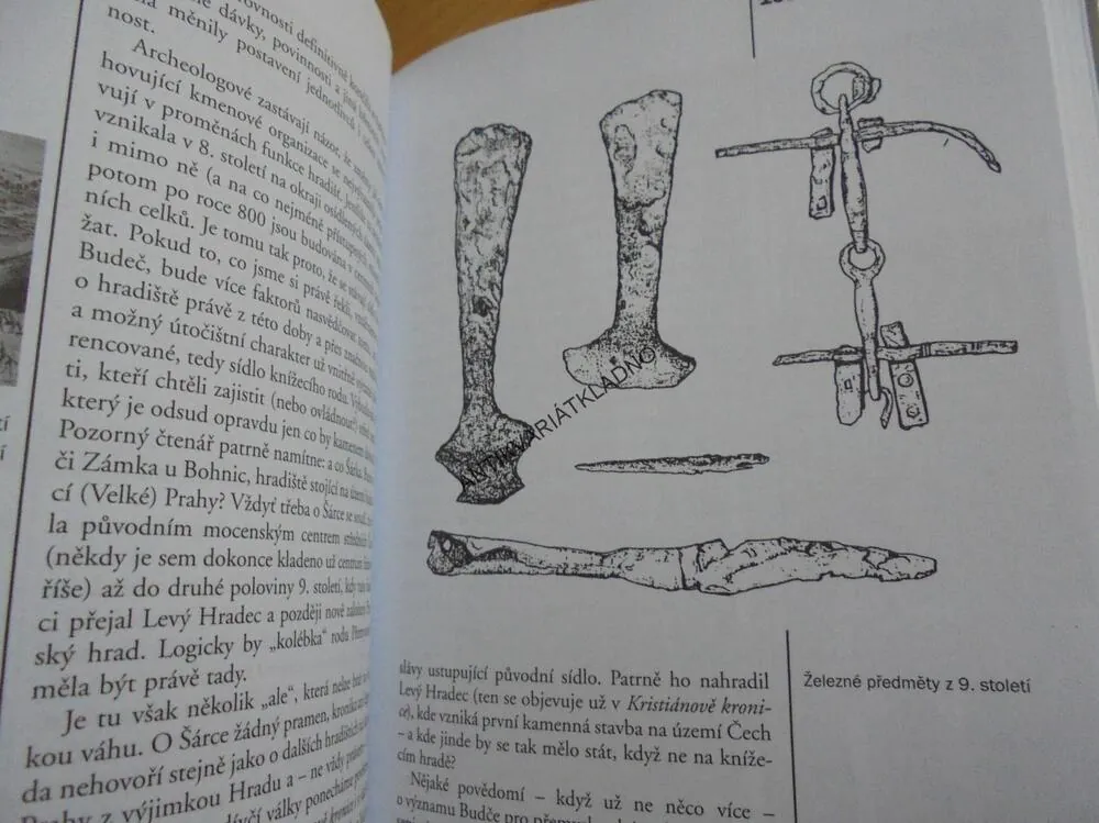 HÁDANKY NAŠÍ MINULOSTI, 3., BÍLEK, KRUTÁ SMRT ZBOŽNÉ BABIČKY,  **an