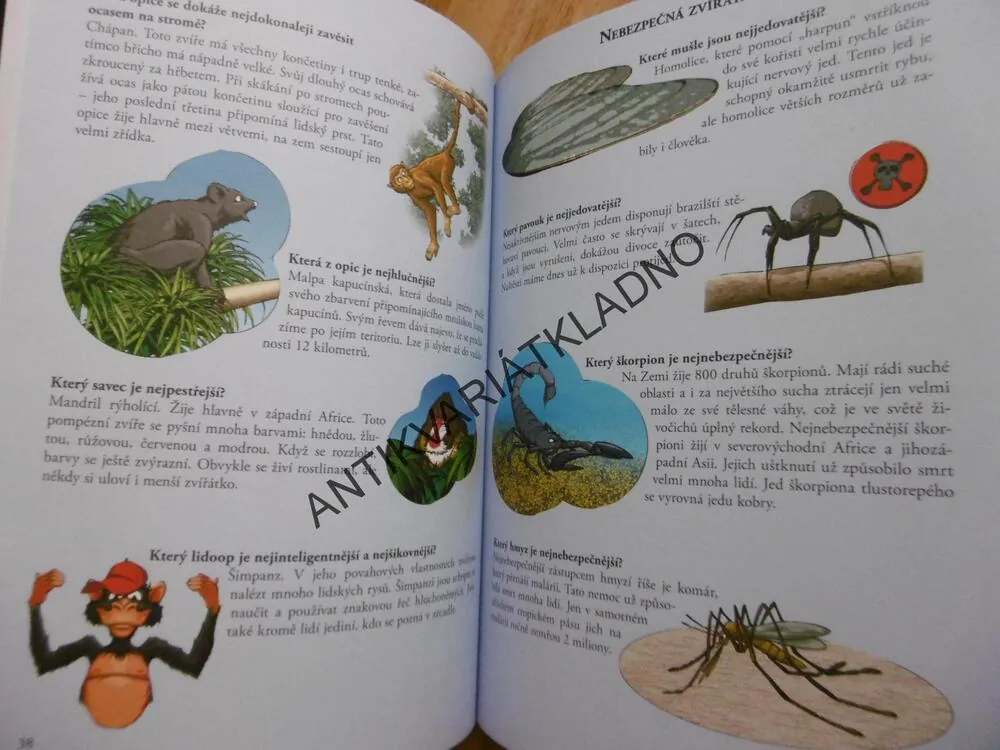VELKÁ KNIHA REKORDŮ, CO JE NEJVĚTŠÍ, NEJRYCHLEJŠÍ, NEJDELŠÍ..., **an