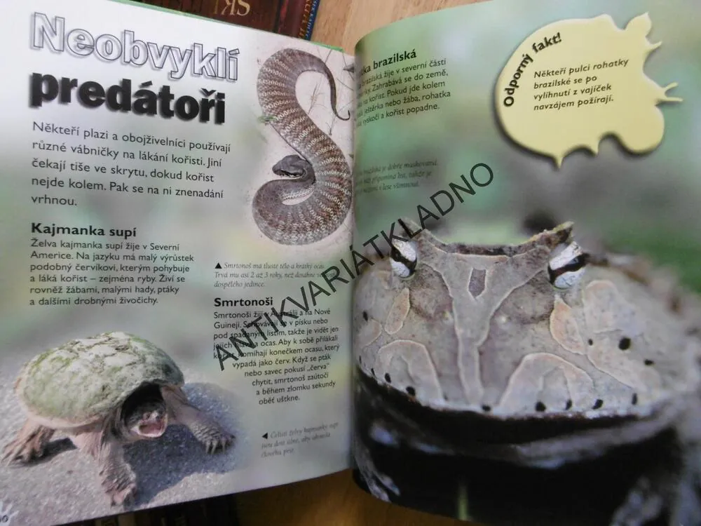 STRAŠIDELNÁ ZVÍŘATA, **an
