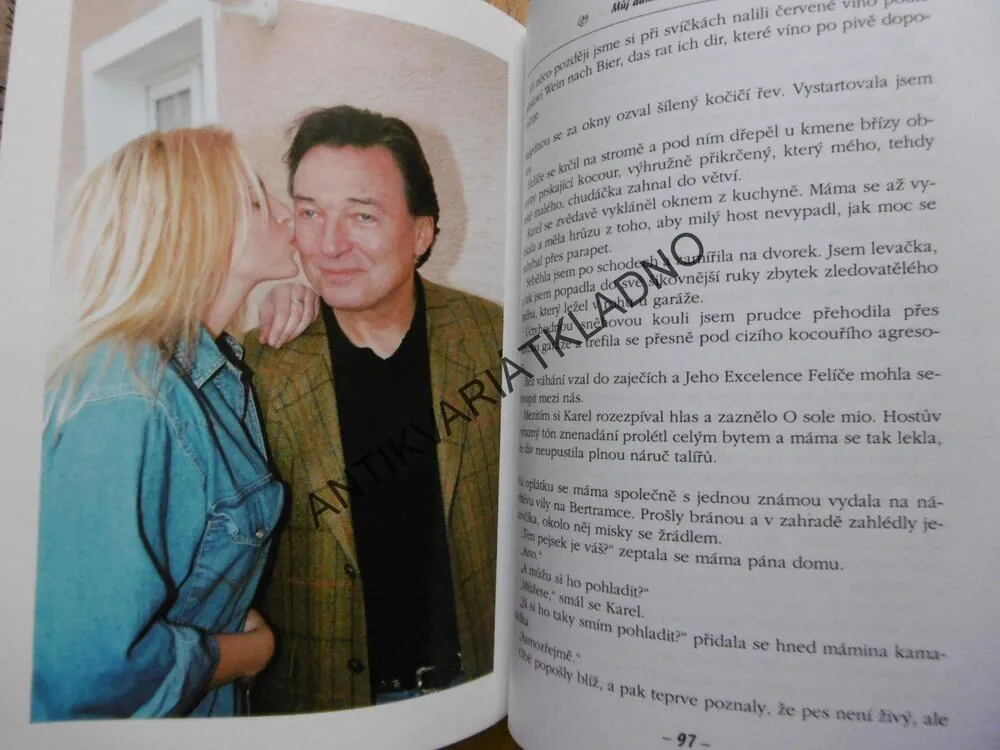 Z TAJNÉHO DENÍČKU MARIKY S. ANEB KAREL GOTT JE JEN JEDEN, NYTROVÁ