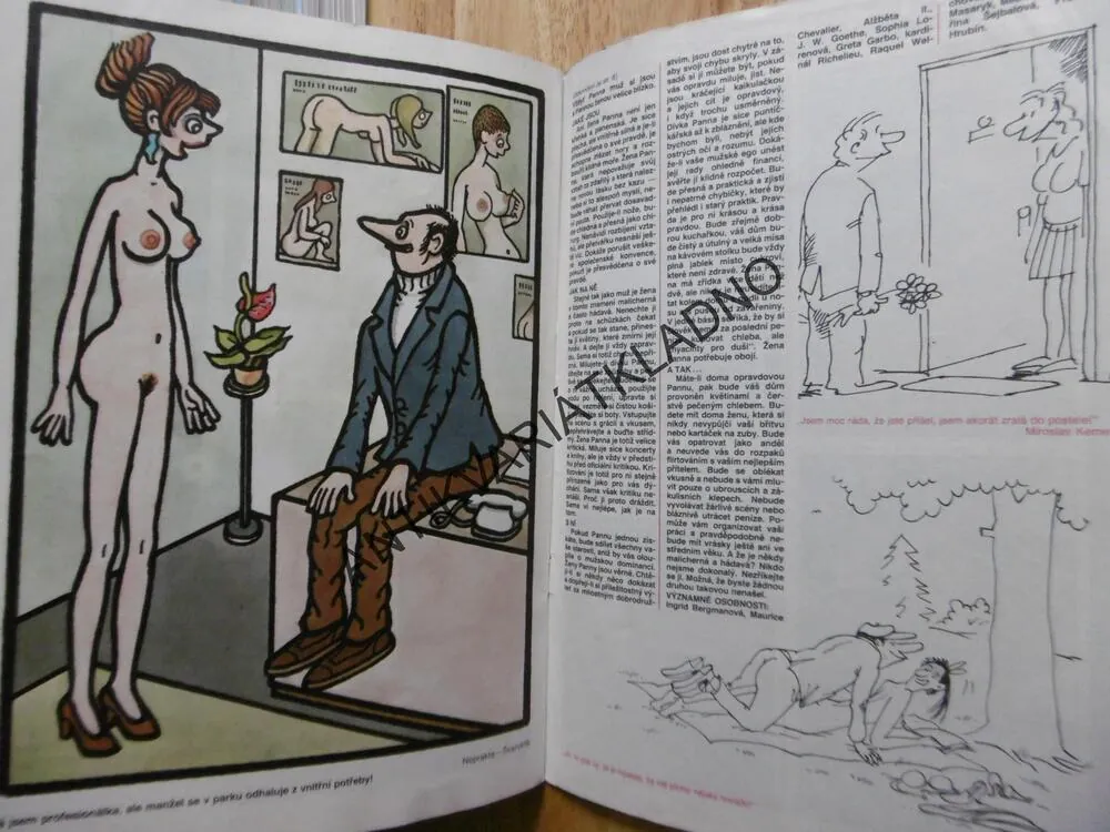 SEX BOX,6.,  MĚSÍČNÍK HUMORU O ŽENÁCH A MUŽÍCH, NEPRAKTA, 1990