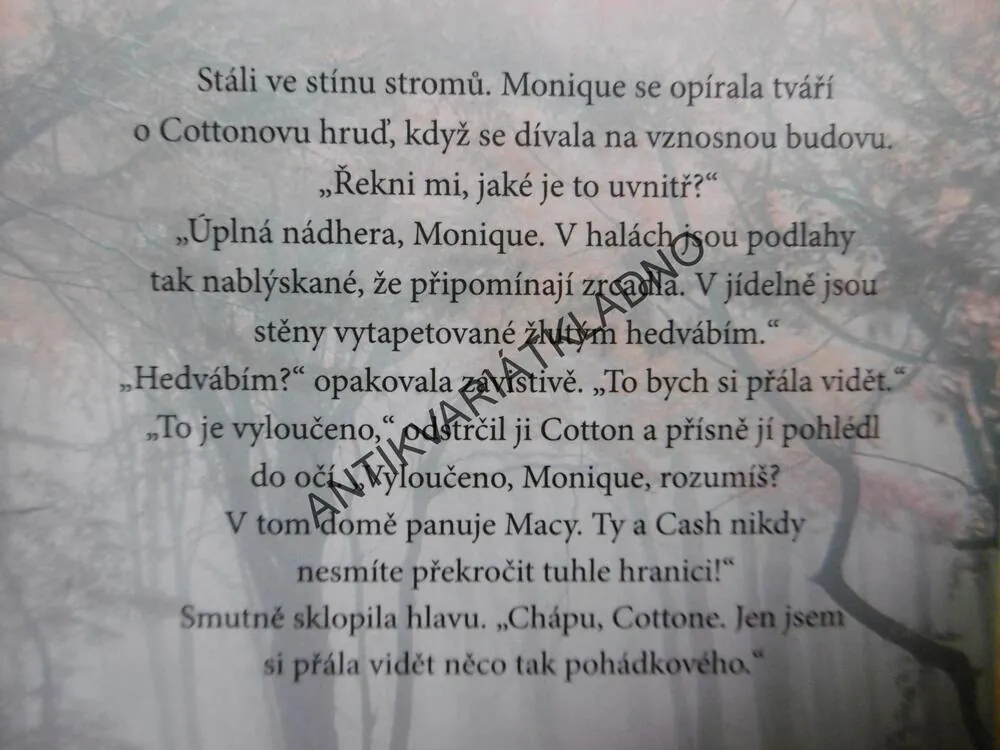 V ŽÁRU LÁSKY, SANDRA BROWN, **an