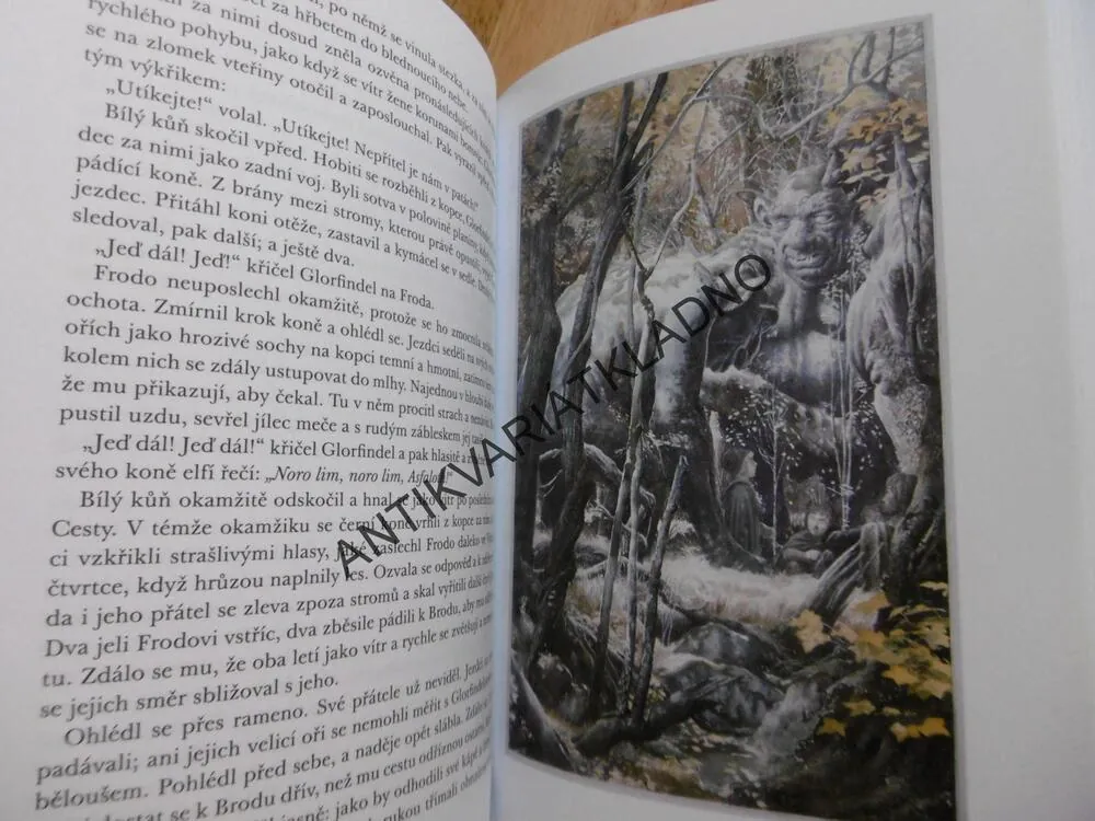 PÁN PRSTENŮ 1., SPOLEČENSTVO PRSTENŮ, J.R.R. TOLKIEN,