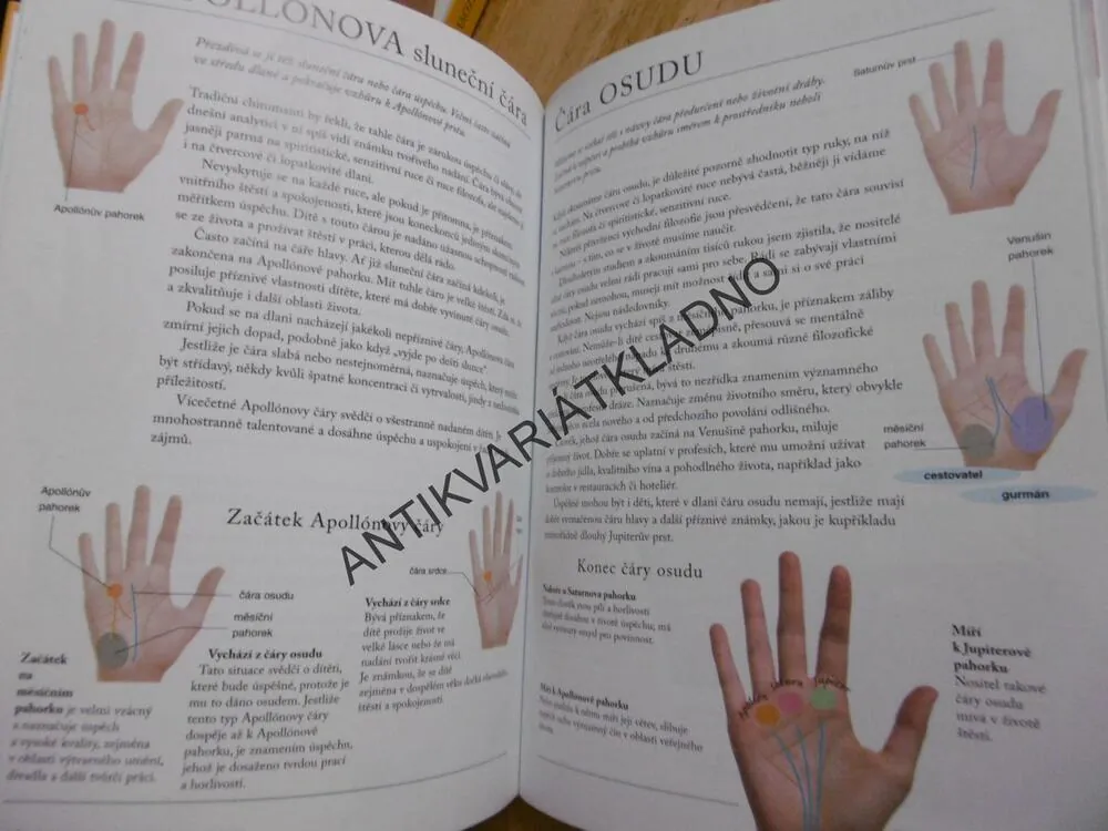ČTENÍ Z DĚTSKÉ RUKY, ANNE HASSETT, ODHALTE NADÁNÍ A SCHOPNOSTI SVÉHO DÍTĚTE