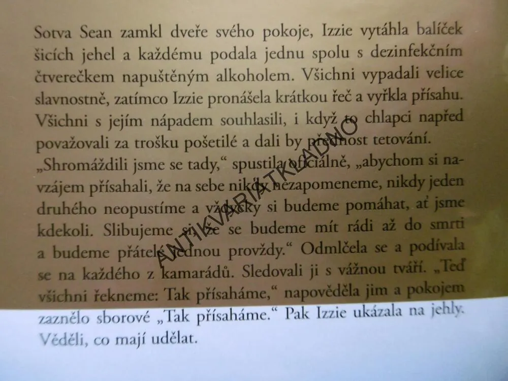 PŘÁTELÉ NAVŽDY, DANIELLE STEEL