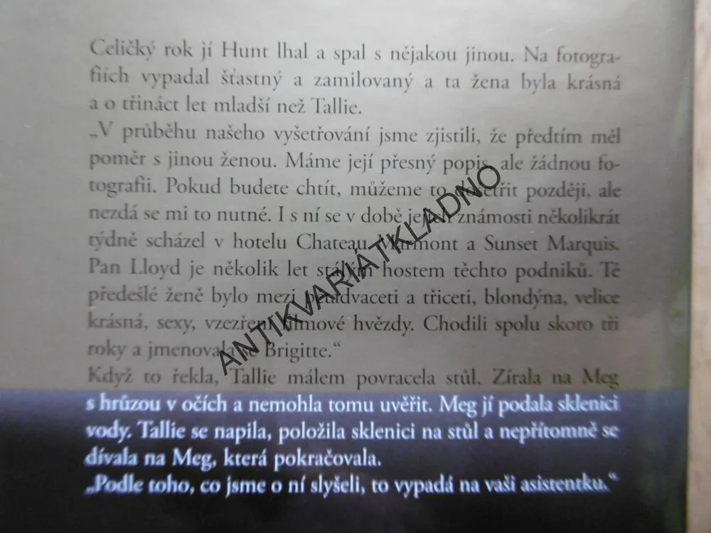 ZRADA, DANIELLE STEEL, **an