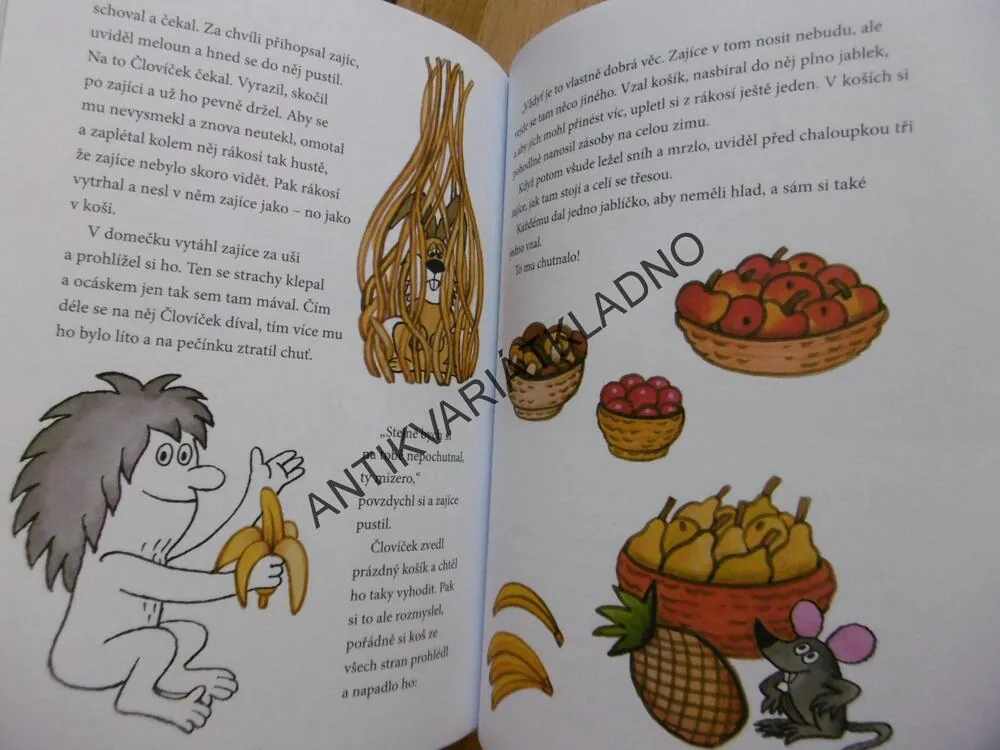 ČLOVÍČKOVA DOBRODRUŽSTVÍ, PAVEL TEISINGER, **an