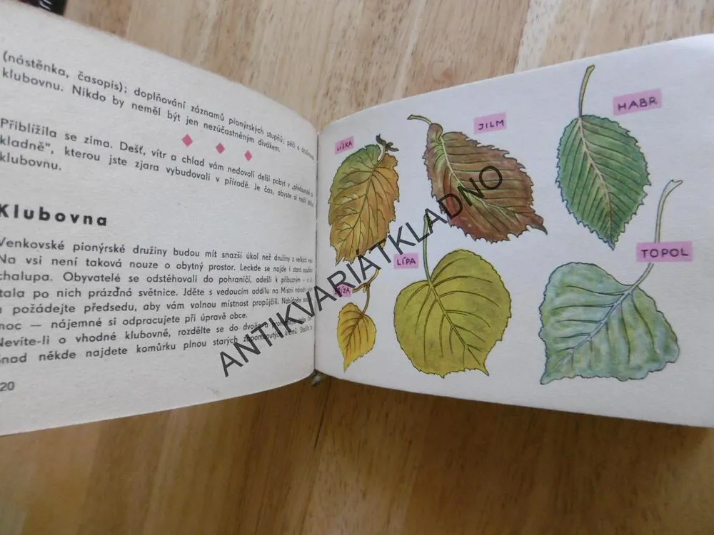 OKO 1/II - TISÍC MALÝCH DOBRODRUŽSTVÍ, MILOŠ ZAPLETAL, **an