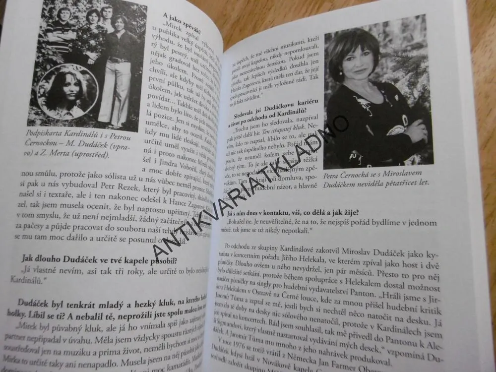 HVĚZDY POPU, KTERÉ JSME MILOVALI, ZPĚVÁCI 70-80.LET, MIROSLAV GRACLÍK