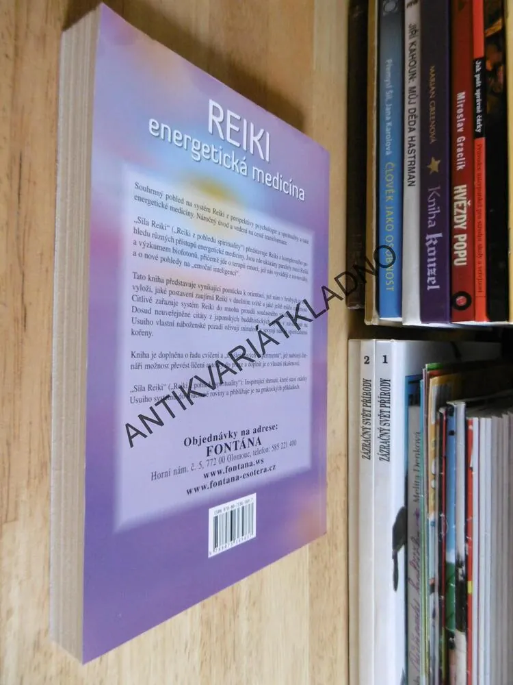 SÍLA REIKI, RADY PRO OSOBNÍ I GLOBÁLNÍ TRANSFORMACI, LAKŠMÍ PAULA HORAN