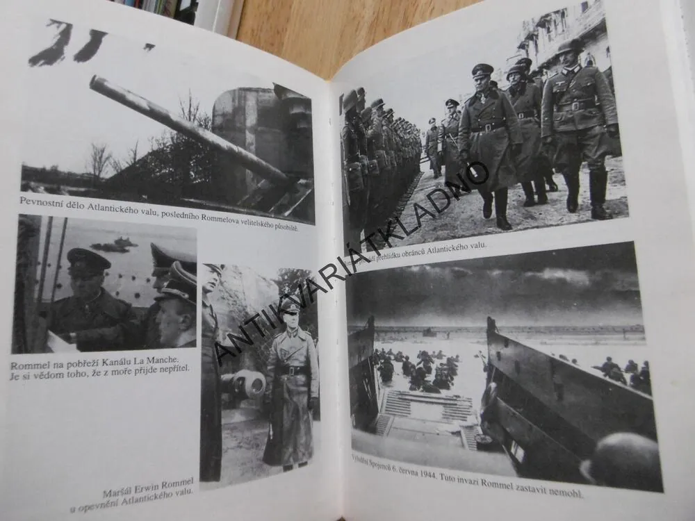 ROMMEL, DESMOND YOUNG, **an
