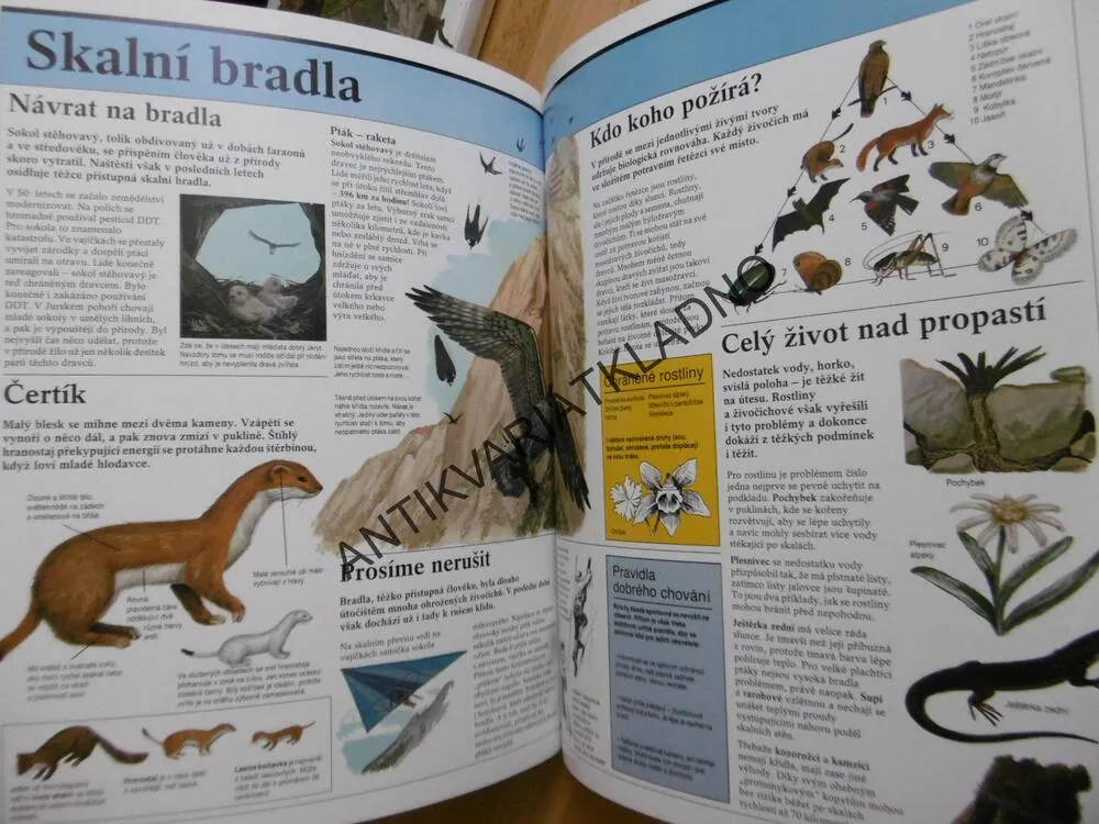 ZÁZRAČNÝ SVĚT PŘÍRODY, 1., HÁJE LOUKY, MOČÁLY, RAŠELINIŠTĚ, AJ.