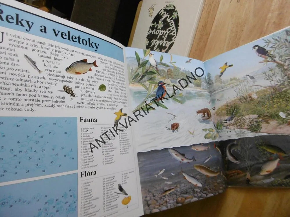 ZÁZRAČNÝ SVĚT PŘÍRODY, 2., GARRIQUE, JESKYNĚ, JEZERA, RYBNÍKY, ŘEKY, VELETOKY, POHOŘÍ