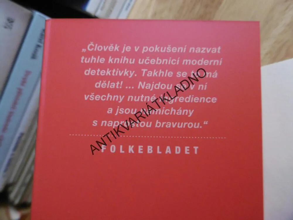 V LESE VISÍ ANDĚL, SAMUEL BJORK, **an