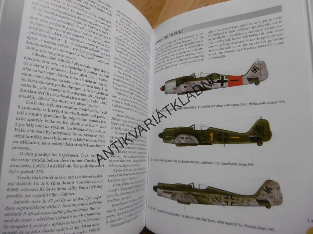 ESA NA FOCKE-WULFECH 190 NA ZÁPADNÍ A VÝCHODNÍ FRONTĚ, JOHN WEAL, **an