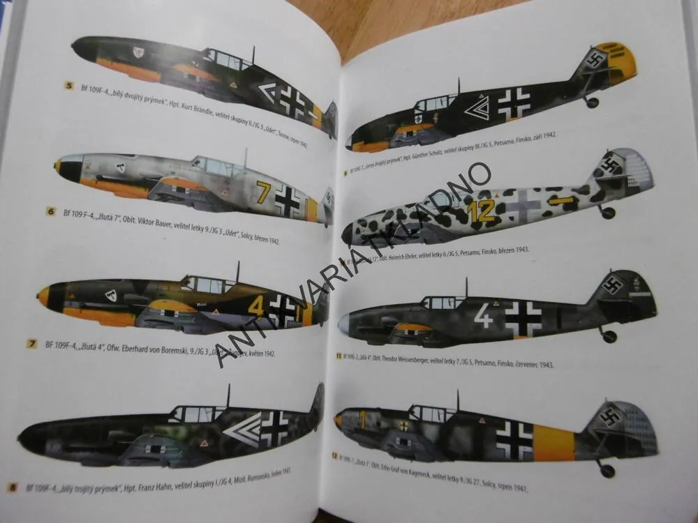 ESA NA BF109 NA VÝCHODNÍ FRONTĚ, JOHN WEAL