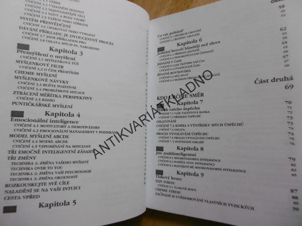 JAK SE PROSADIT V ZAMĚSTNÁNÍ, VYUŽIJ SVÉ SILNÉ STRÁNKY, RICHARD ISRAEL, 