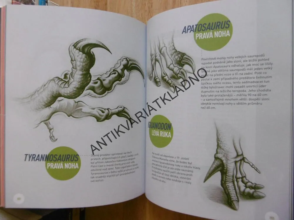 VELKÁ KNIHA DINOSAURŮ, KEIRON PIM, DINOSAUŘI,FABIO PASTORI,2015, **an