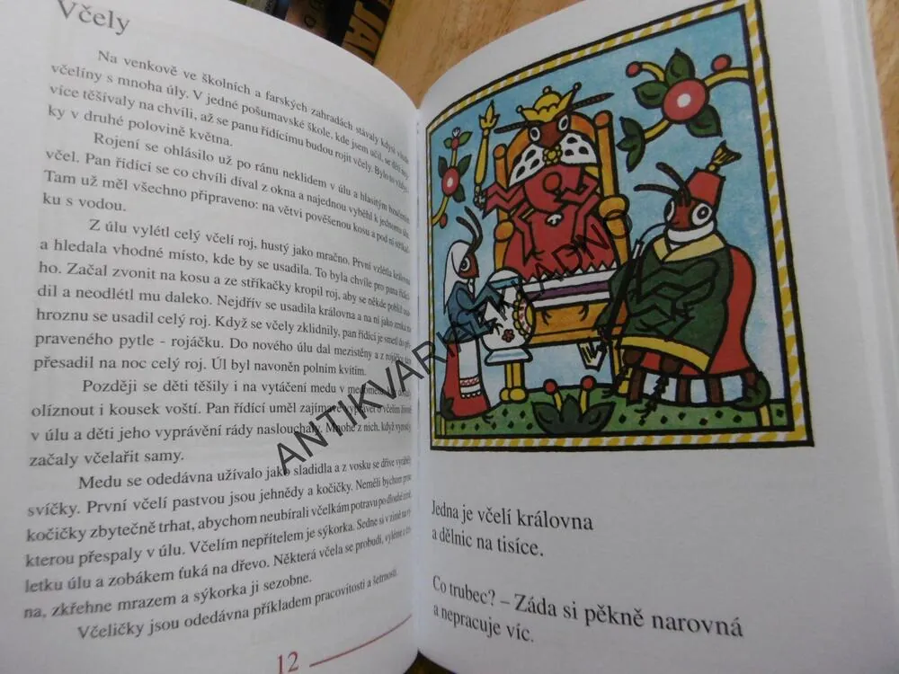 BROUCI A HMYZ, LADOVY VESELÉ UČEBNICE, LADA, STEHLÍK, **an