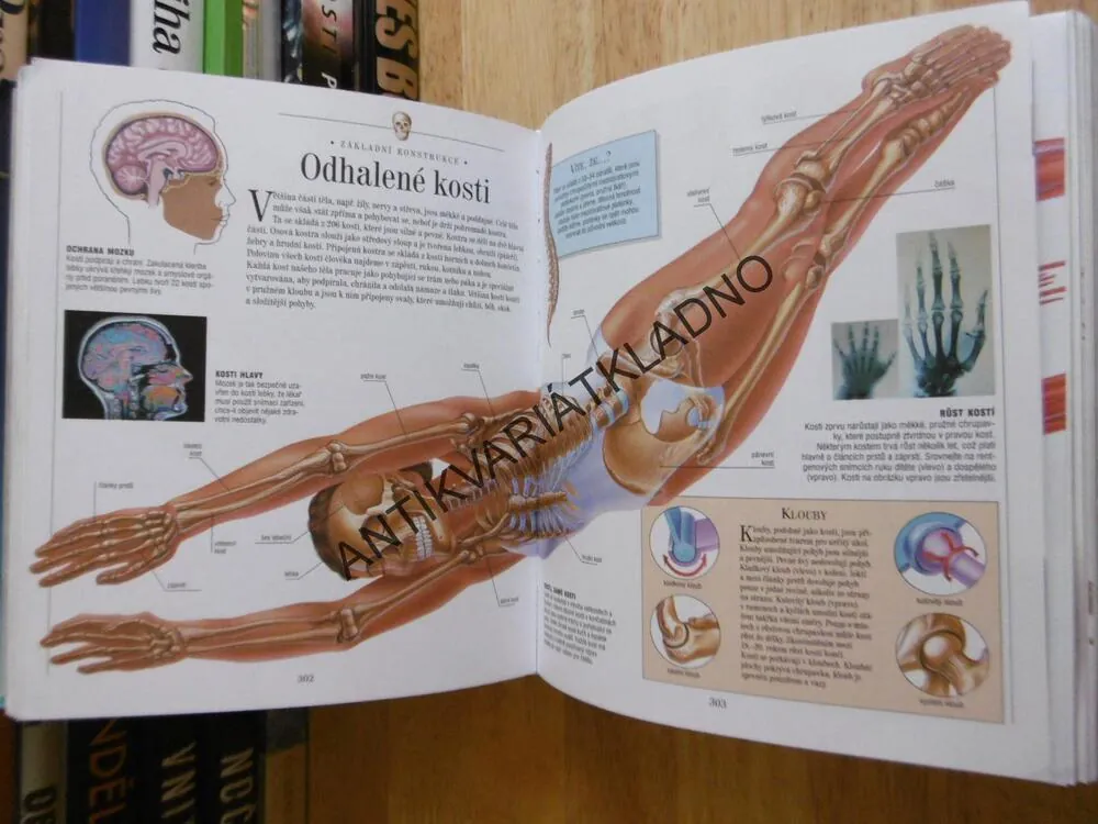 OBRAZOVÁ ENCYKLOPEDIE PŘÍRODA, **an