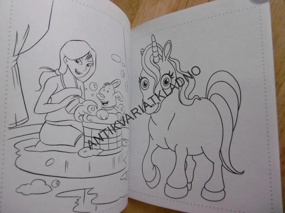 PRINCEZNY - OMALOVÁNKY, COLOURING BOOK, 