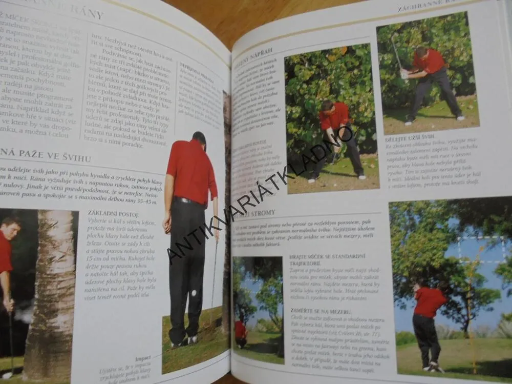 GOLF PRO KAŽDÉHO, NEWELL, SPORT, HRA
