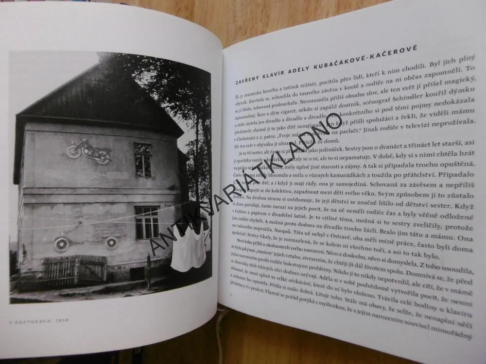 ŠŤASTNÁ HODINA, ZUZANA MALÉŘOVÁ, FOTOGRAFIE EVA FUKOVÁ, **an