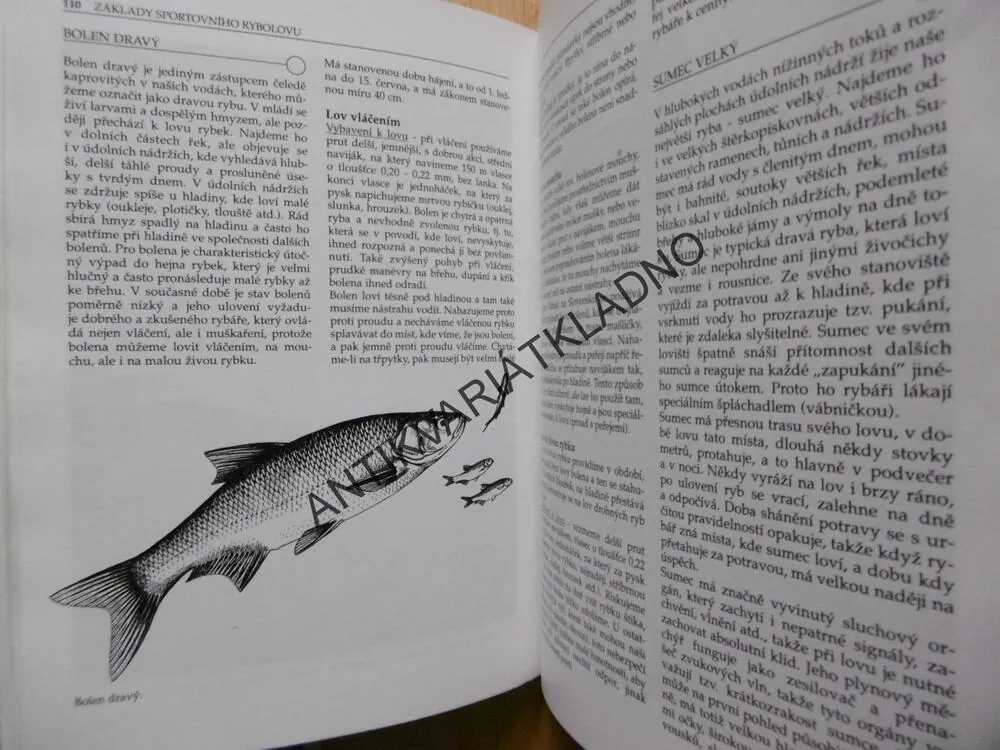 ZÁKLADY SPORTOVNÍHO RYBOLOVU, FRANTIŠEK REISER, NAŠE HOBY, HOBBY, **an