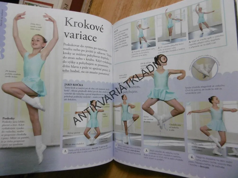 JAK NA BALET, PRŮVODCE TAJEMSTVÍM BALETU KROK ZA KROKEM