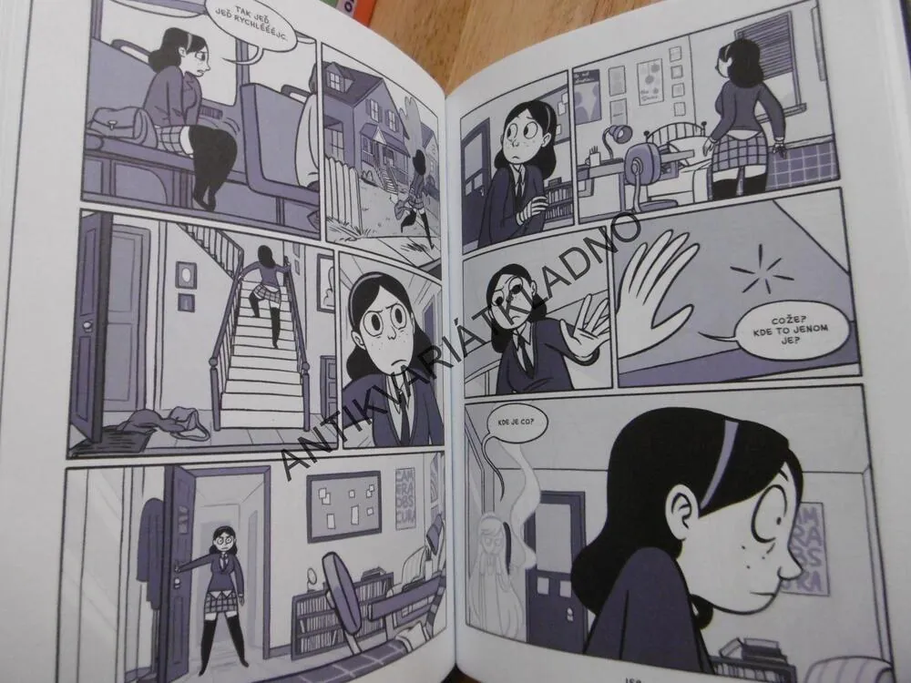 ANIN DUCH, VERA BROSGOLOVÁ, KOMIKS
