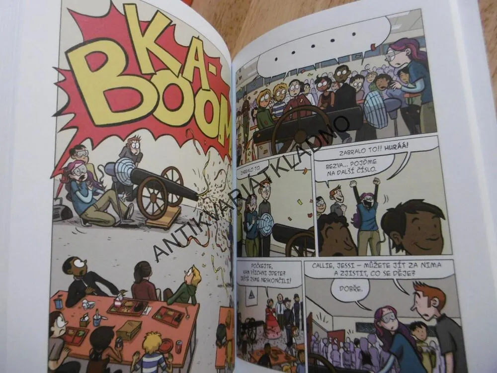 DRAMA, RAINA TELGEMEIEROVÁ, KOMIKS