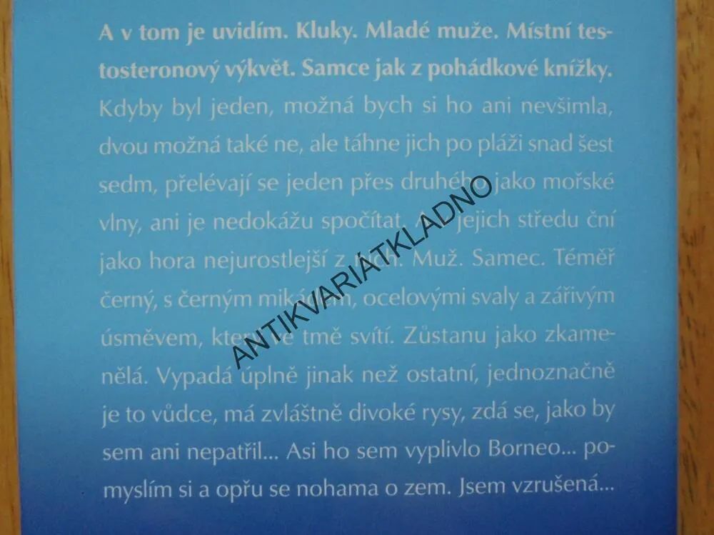 ŽABÁK Z BALI, ŠÁRKA SCHMIDTOVÁ, EROTICKÉ HŘÍČKY