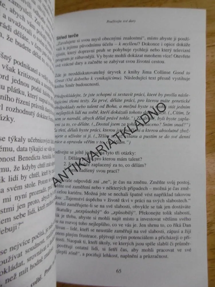 SMĚR BUDOUCNOSTI, BRAD DEHAVEN, 