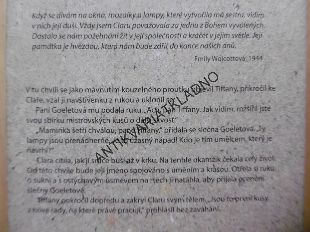 POLEDNE U TIFFANYHO, ECHO HERONOVÁ