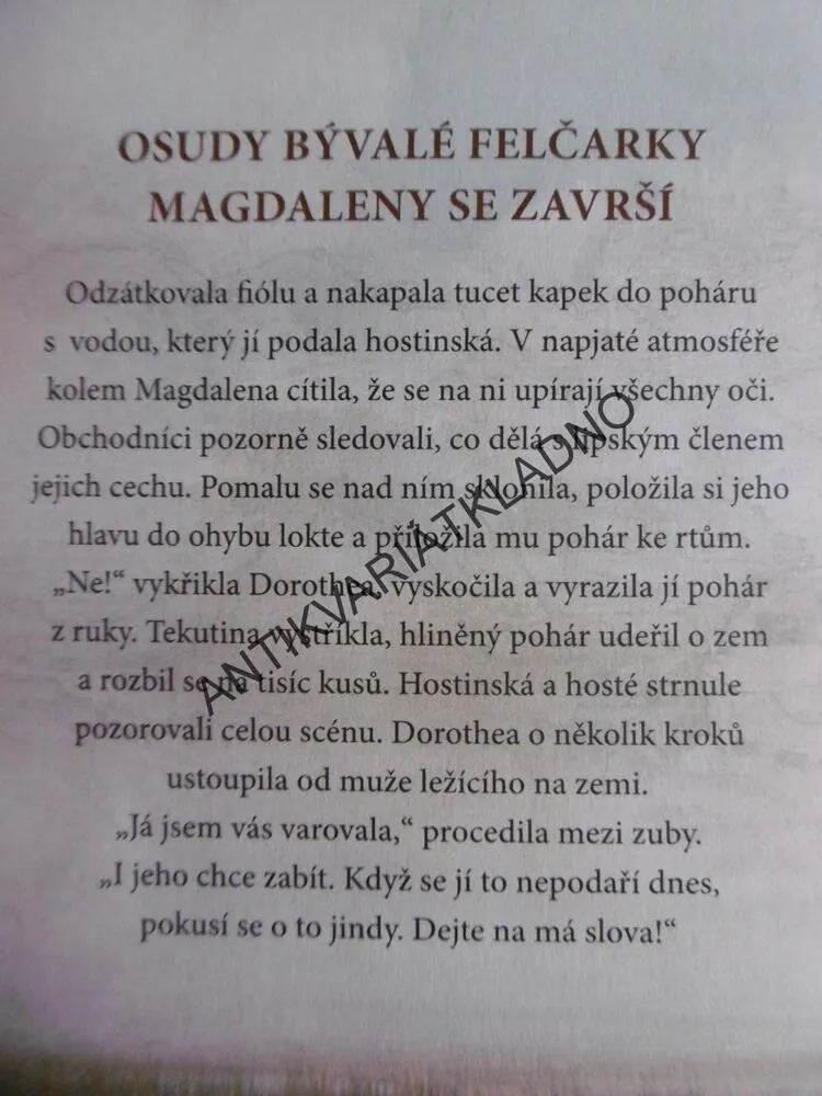 JANTAROVÉ DĚDICTVÍ, HEIDI REHNOVÁ, **an