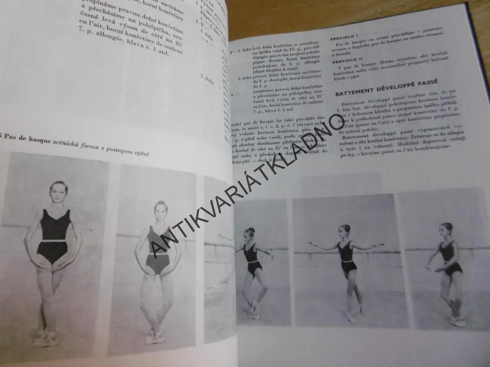 ZÁKLADY KLASICKÉHO TANCE, OLGA PÁSKOVÁ, ŽDICHYNCOVÁ
